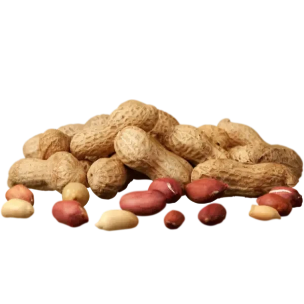 Nigerian Groundnut